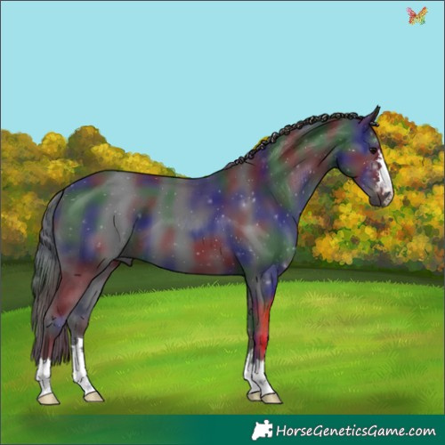 Horse Color:Nacre Black 