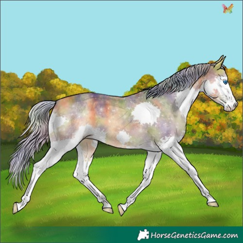 Horse Color:Nacre Silver Buckskin Splash 