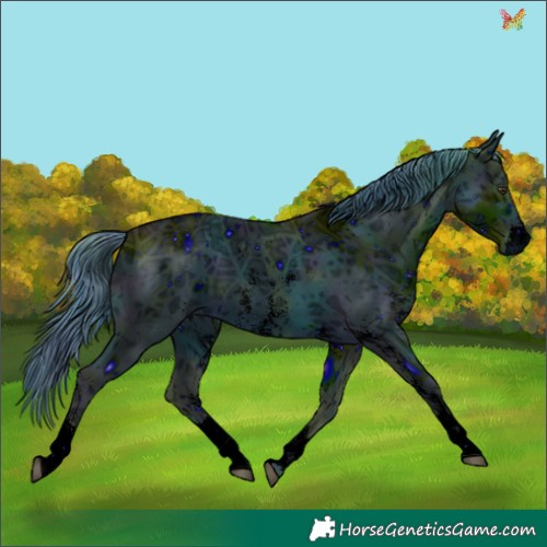 Horse Color:ERROR: UNKNOWN ANOMALY