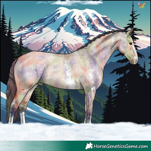 Horse Color:Nacre Bay Ice Dun Sabino 