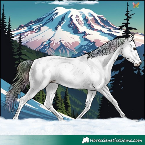 Horse Color:Nacre Smoky Black Sabino 