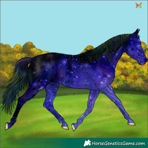Horse Color:ERROR: UNKNOWN ANOMALY