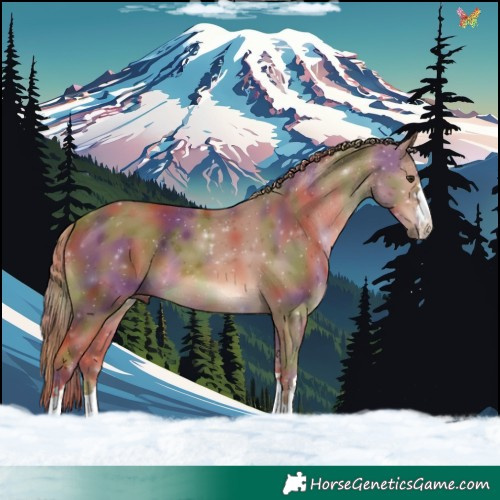 Horse Color:Nacre Chestnut 