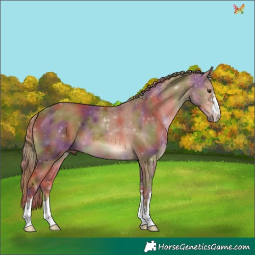 Horse Color:Nacre Chestnut 