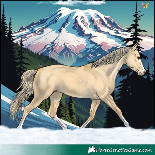Horse Color:Palomino Dun 