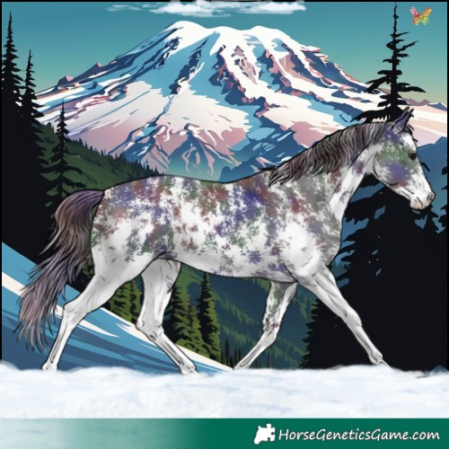 Horse Color:Nacre Smoky Black Sabino 