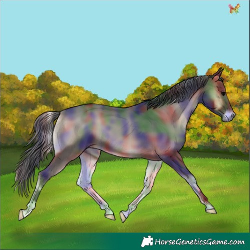 Horse Color:Nacre Blue Onyx 