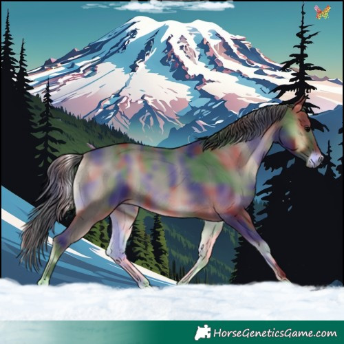 Horse Color:Nacre Blue Onyx 