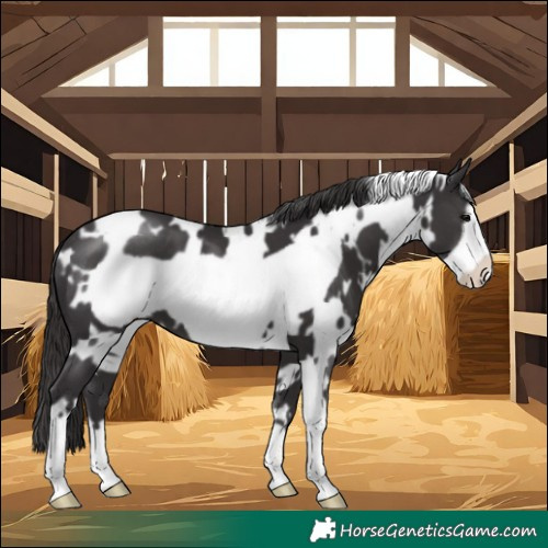 Horse Color:White Spotted Smoky Black Frame 
