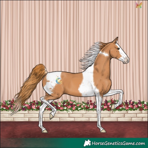 Horse Color:Chestnut Splash Tobiano 