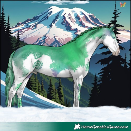 Horse Color:Watercolor Bay Sabino Splash Tobiano 