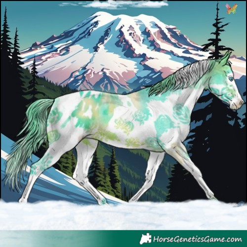 Horse Color:Watercolor Brown Splash Tobiano Appaloosa 