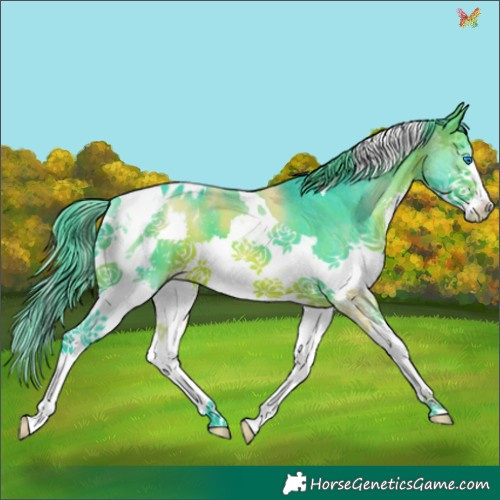 Horse Color:Watercolor Brown Splash Tobiano Appaloosa 