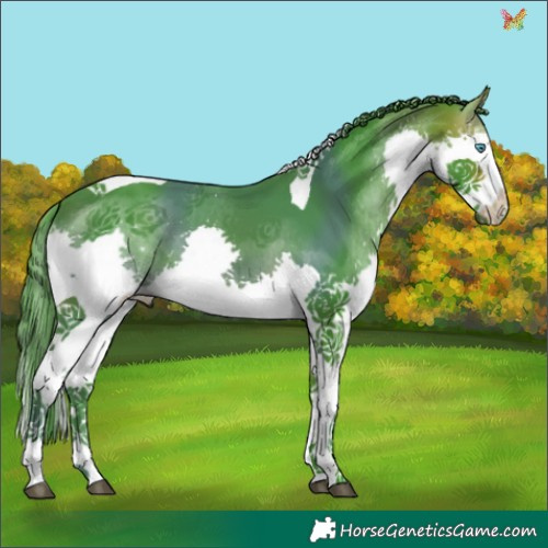 Horse Color:Watercolor Brown Splash Tobiano 