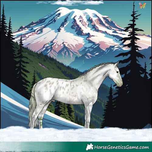 Horse Color:Watercolor White Spotted Bay Dun Splash Appaloosa 