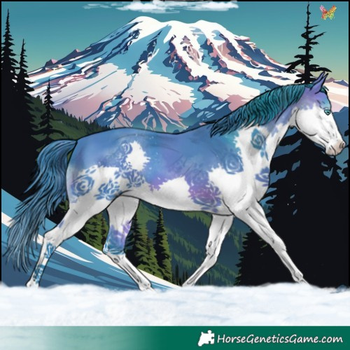 Horse Color:Watercolor Bay Splash Tobiano 
