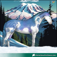 Horse Color:Watercolor Bay Splash Tobiano 