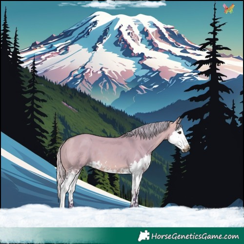 Horse Color:Watercolor White Spotted Silver Bay Dun Splash 