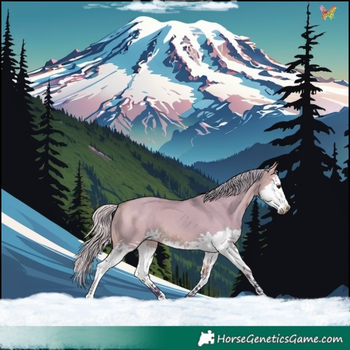Horse Color:Watercolor White Spotted Silver Bay Dun Splash 