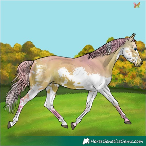 Horse Color:Watercolor Bay Splash Tobiano 