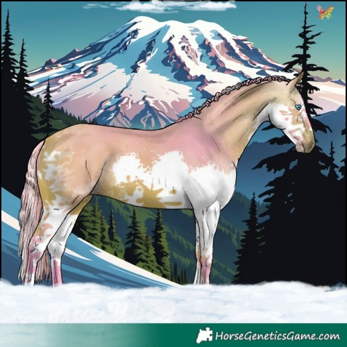 Horse Color:Watercolor Bay Splash Tobiano 