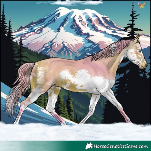 Horse Color:Watercolor Bay Splash Tobiano 