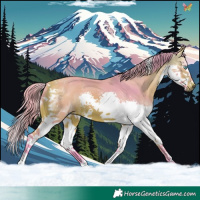 Horse Color:Watercolor Bay Splash Tobiano 