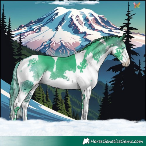 Horse Color:Watercolor Brown Splash Tobiano