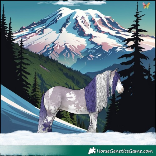 Horse Color:Watercolor Brown Dun Splash Tobiano 