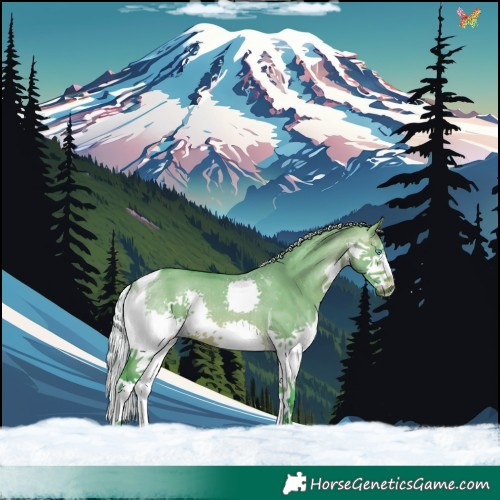 Horse Color:Watercolor Silver Brown Dun Splash Tobiano