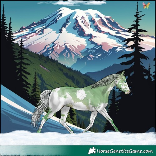 Horse Color:Watercolor Silver Brown Dun Splash Tobiano