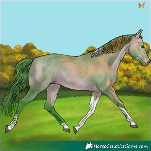 Horse Color:Watercolor Bay Dun Tobiano 