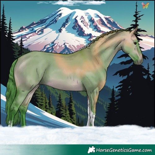 Horse Color:Watercolor Bay Dun Tobiano