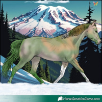 Horse Color:Watercolor Bay Dun Tobiano 