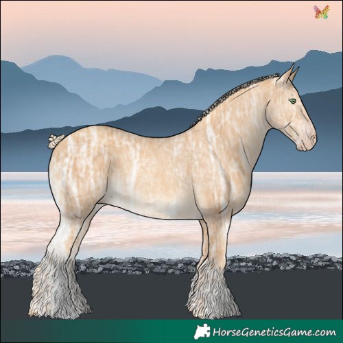 Horse Color:Gold Cream Champagne Ice Sabino 