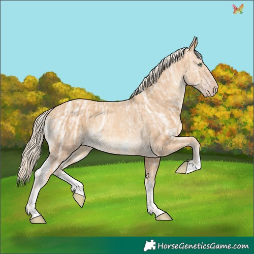 Horse Color:Gold Cream Champagne Ice Sabino 