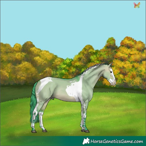 Horse Color:Watercolor Bay Dun Splash Tobiano 