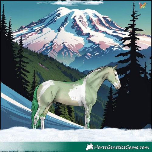 Horse Color:Watercolor Bay Dun Splash Tobiano 