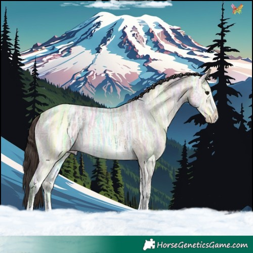 Horse Color:Bay Ice Dun Sabino 