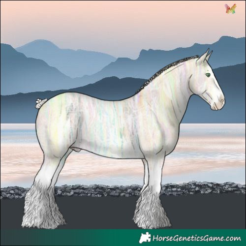 Horse Color:Silver Sable Cream Champagne Ice Dun Sabino Splash 