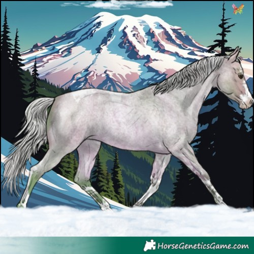 Horse Color:Watercolor Silver Buckskin Roan Splash Tobiano 