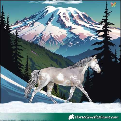 Horse Color:Watercolor White Spotted Silver Bay Dun Splash 