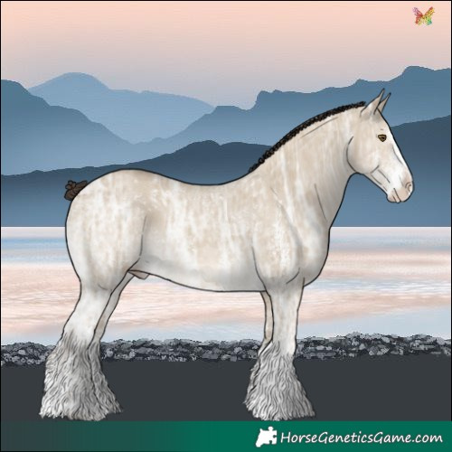 Horse Color:Classic Cream Champagne Ice Dun Sabino 