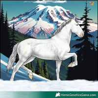 Horse Color:Silver Perlino Ice Dun Sabino 