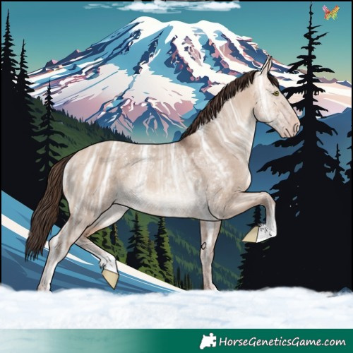 Horse Color:Amber Champagne Ice Dun Sabino 