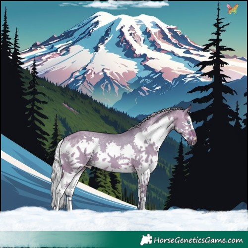 Horse Color:Watercolor White Spotted Silver Bay Dun Splash 