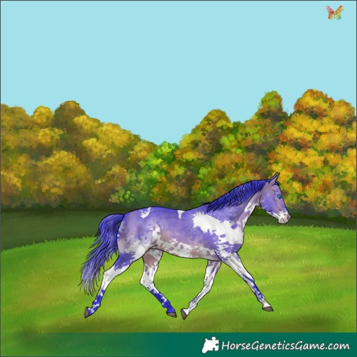 Horse Color:Watercolor Brown Dun Splash Tobiano 
