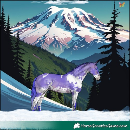 Horse Color:Watercolor Brown Dun Splash Tobiano 