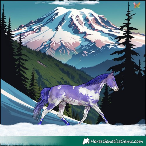 Horse Color:Watercolor Brown Dun Splash Tobiano 