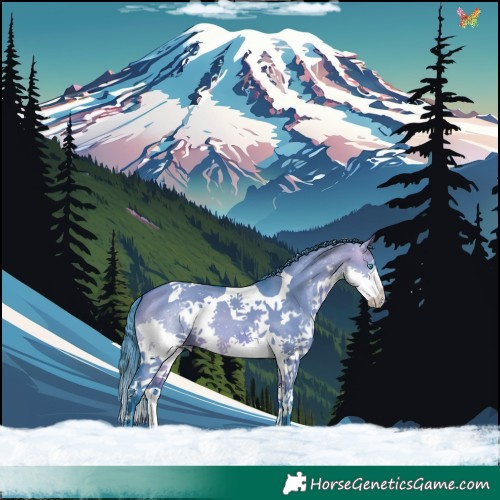 Horse Color:Watercolor Brown Dun Splash Tobiano 